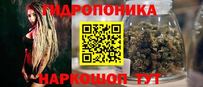 гидра Комсомольск-на-Амуре