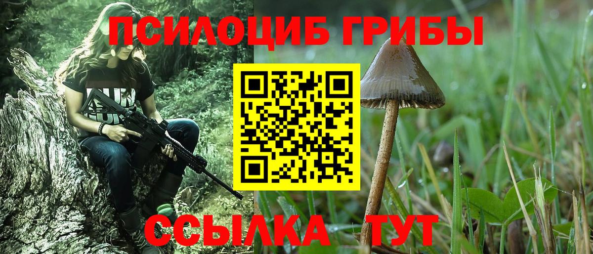Галлюциногенные грибы прущие грибы Кизилюрт